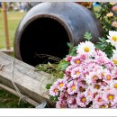 자연-어울림 이미지