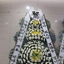 마음애병원 | 충남 천안시 서북구 (쌍용동) 충무병원장례식장 근조 기업 화환 야간 꽃배달