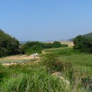 돌산읍우두출장소 이미지