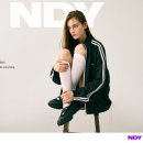 엔디와이(NDY) 이미지