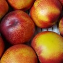 경산농장 이미지