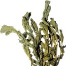 웰빙한식푸드 이미지