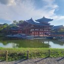 1378 | 봉황! 교토부 우지시 평등원(平等院; 뵤도인) 관람 후기! 동영상 첨부! [이춘근 일본여행 티스토리...