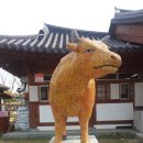 지평선한우명품관 이미지