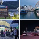 고흥숲속의바다 이미지