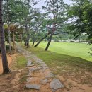 콩밭가인 이미지