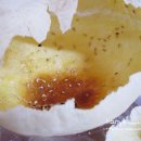 임채순베이커리 네이버블로그