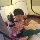 도레미캠핑장 이미지