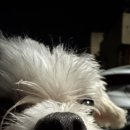 다솔약국 이미지