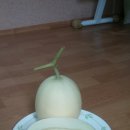 오얏골농원