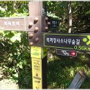 대구공산초등학교 이미지