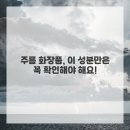 화장품대방출 이미지