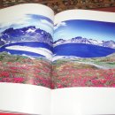 자연하모니 이미지