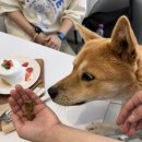 용인동백호수공원 이미지