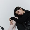 스텔라(Stella) 이미지