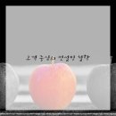 소나무경영컨설팅