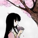 보이쉬 이미지