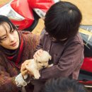 쎄븐데이즈