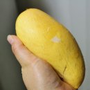 명진후르츠