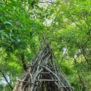 라온제나어린이집 이미지