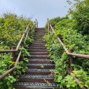 제800회차 10/25 오대산 선재길, 비로봉(1563 m) 및 상왕봉 산행예약 신청 이미지