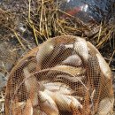 송악 낚시터 이미지