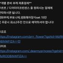 푸르르(Prrr) | 경주 푸르르 웨딩스냅용 부케 계약 후기