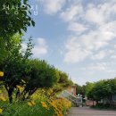 천상의 집 | 설성면요양원 천상의집 위치정보