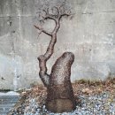 이길래 생성과응집 이미지