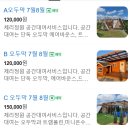 경주 체리 이미지