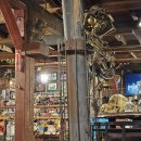 산속비버스 이미지