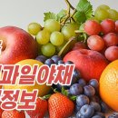 형제과일야채 | 생생정보 맛집, 파주 과일 야채가게, 형제과일야채 위치, 연락처, 영업시간