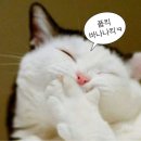 설뫼충효테마파크 야영장 네이버블로그