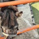 사랑가득주유소 이미지