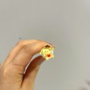 유지력 좋은 부천 송내역 속눈썹 맛집 원리속눈썹 송내점 블랙펌 후기
