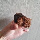 안양 맛집 | 빵집투어 | 안양 빵지순례 김용학 베이커리 추천 후기 - 큐벨쿠키, 맘모스, 초코 소보로...