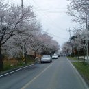 금암1리마을회관 이미지