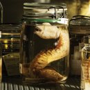 CW-1152-01 이미지