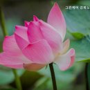 그린노인복지센터 | 믿을 수 있는 강북구 요양원 추천 그린케어 강북노인복지센터 가족 같은 따뜻함