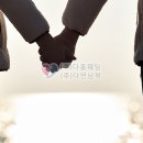 다연정보시스템 이미지