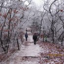 개굴개굴 이미지