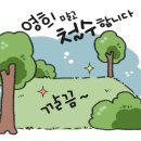 대암 팜트리 네이버블로그