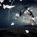 행정사법인 항해 이미지