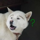 16 이미지