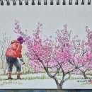 담채