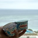 무지개극장 | 오키나와 츄라우미수족관 맛집 이노 레스토랑 &amp; 오키짱극장 시간표