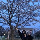 진짜 여자 둘이서 이걸 다 먹었다고? -DAY 33, 34-