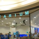 행복수족관 이미지