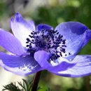 초석빌딩 이미지