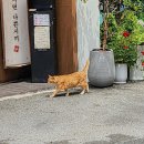 복산다방